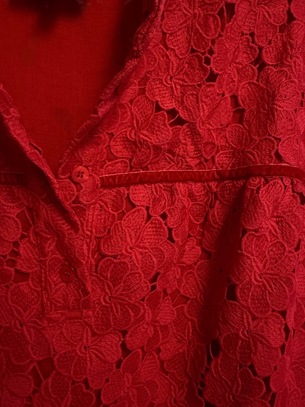 Tuckernuck Catalina red lace blouse with lining XXL - Picture 6 of 10